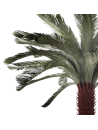 Palmera PE Verde