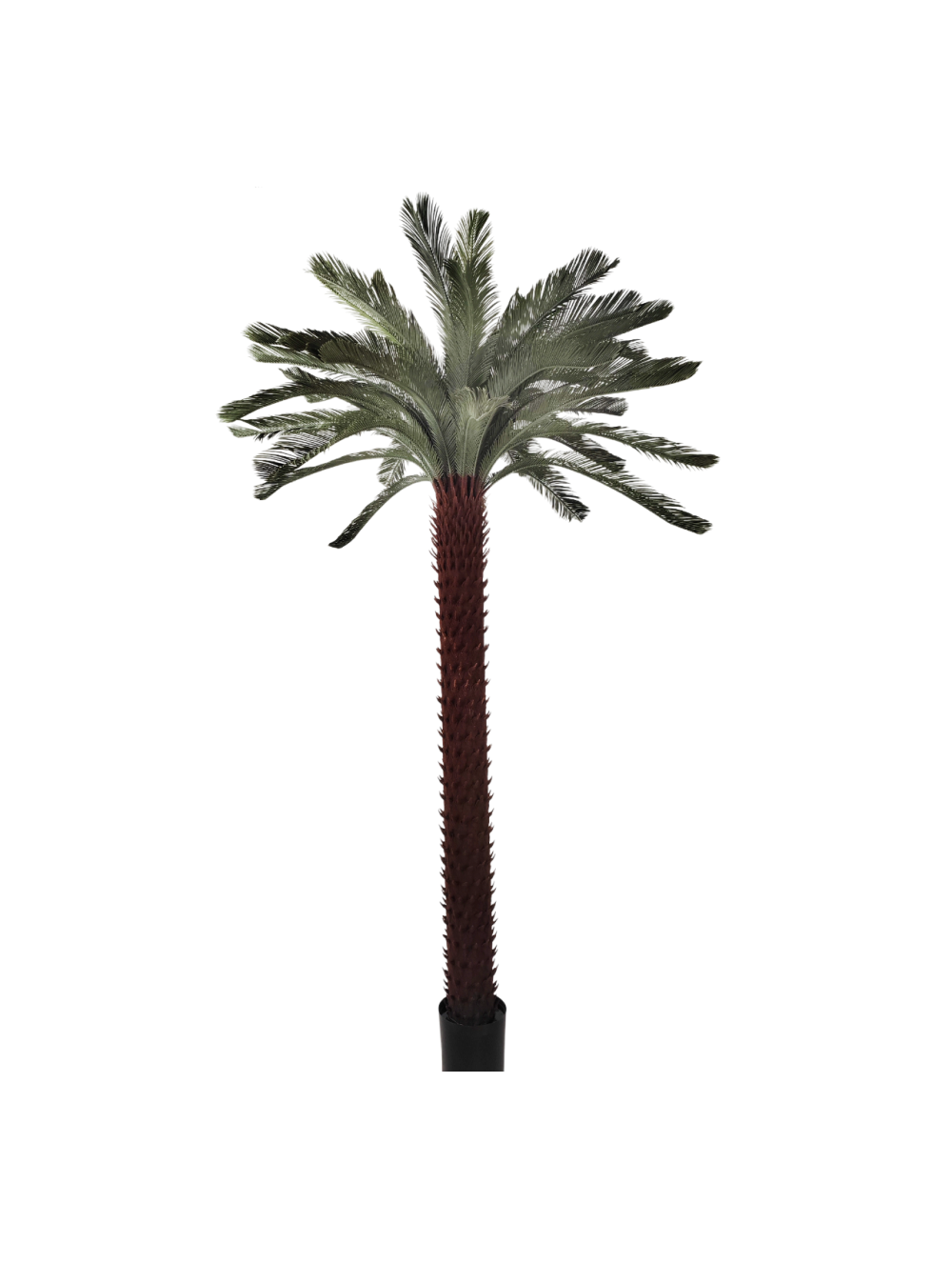 Palmera PE Verde