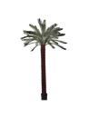 Palmera PE Verde