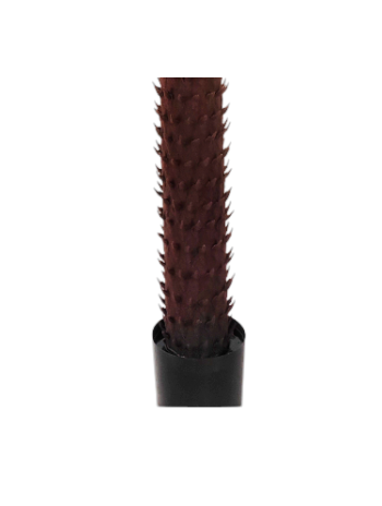 Palmera PE Verde