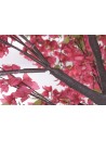 Arbol Poliester PE 150X150X300 Buganvilla Fucsia.