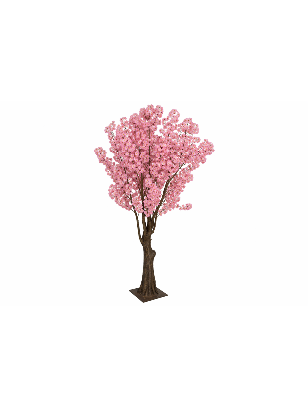 Cerezo en flor
